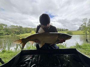 Grass Carp