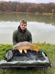 Mirror Carp