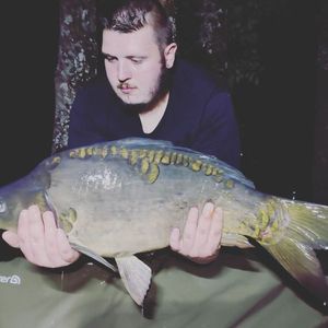 Mirror Carp