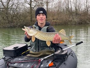 Northern Pike