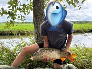 Common Carp