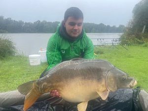 Mirror Carp