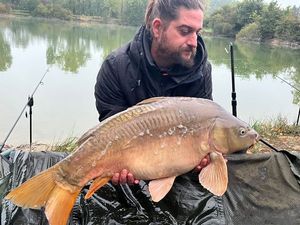 Mirror Carp