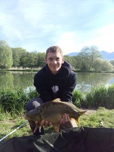 Mirror Carp