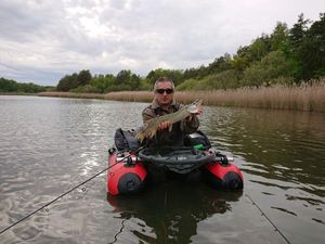 Northern Pike