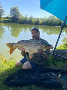 Common Carp