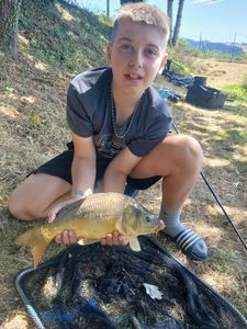 Mirror Carp