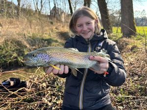 Rainbow Trout