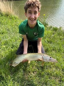 Northern Pike