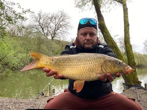 Common Carp