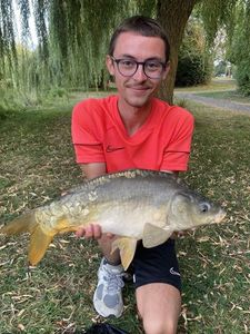 Mirror Carp