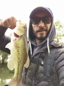 Smallmouth Bass
