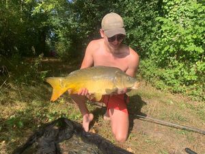 Mirror Carp