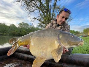 Mirror Carp