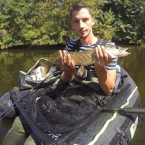 Northern Pike