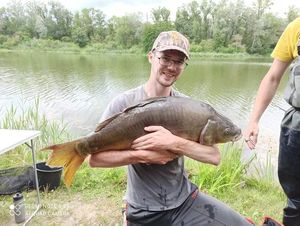 Mirror Carp