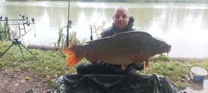 Mirror Carp