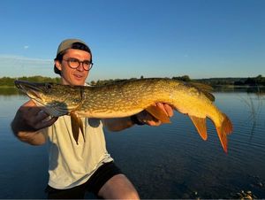 Northern Pike