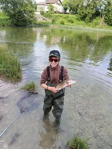 Rainbow Trout