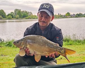 Mirror Carp