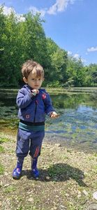 Green Sunfish