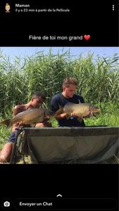 Common Carp