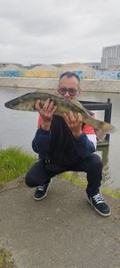 Zander