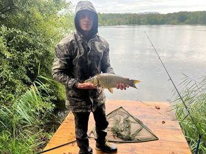 Common Carp