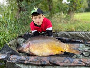 Mirror Carp