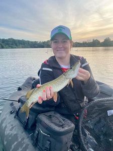 Northern Pike