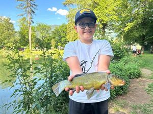 Tench