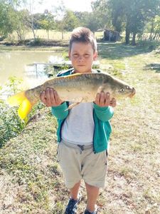 Leather Carp