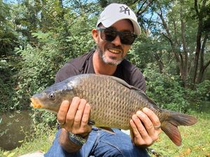 Common Carp