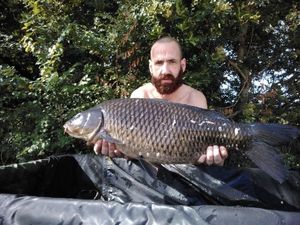 Common Carp