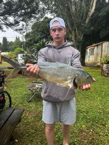 Giant Trevally (GT)