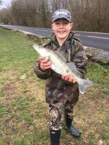 Zander