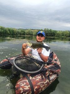 Largemouth Bass