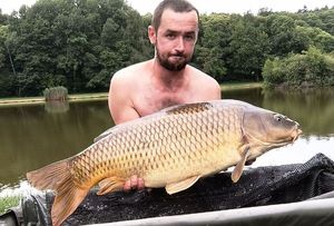 Common Carp