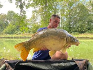 Mirror Carp