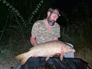 Common Carp