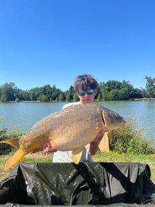 Mirror Carp
