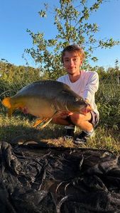 Mirror Carp