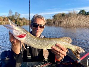 Northern Pike