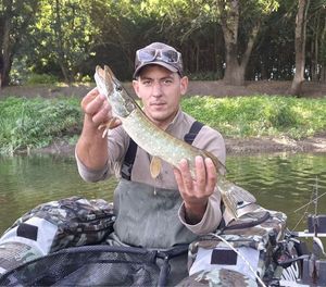 Northern Pike