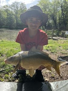 Mirror Carp