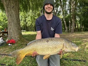 Common Carp