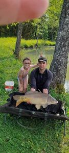 Mirror Carp