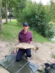 Common Carp