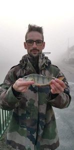 European Perch