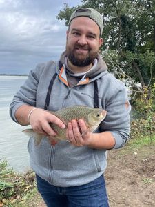 Crucian Carp